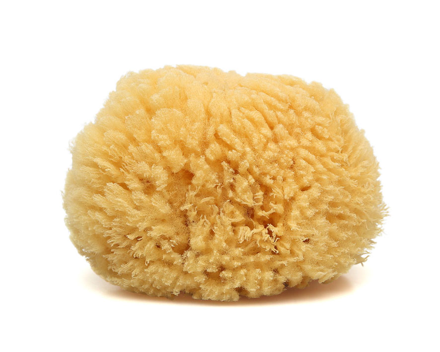 ESPONJA NATURAL 4353 KIOKIDS