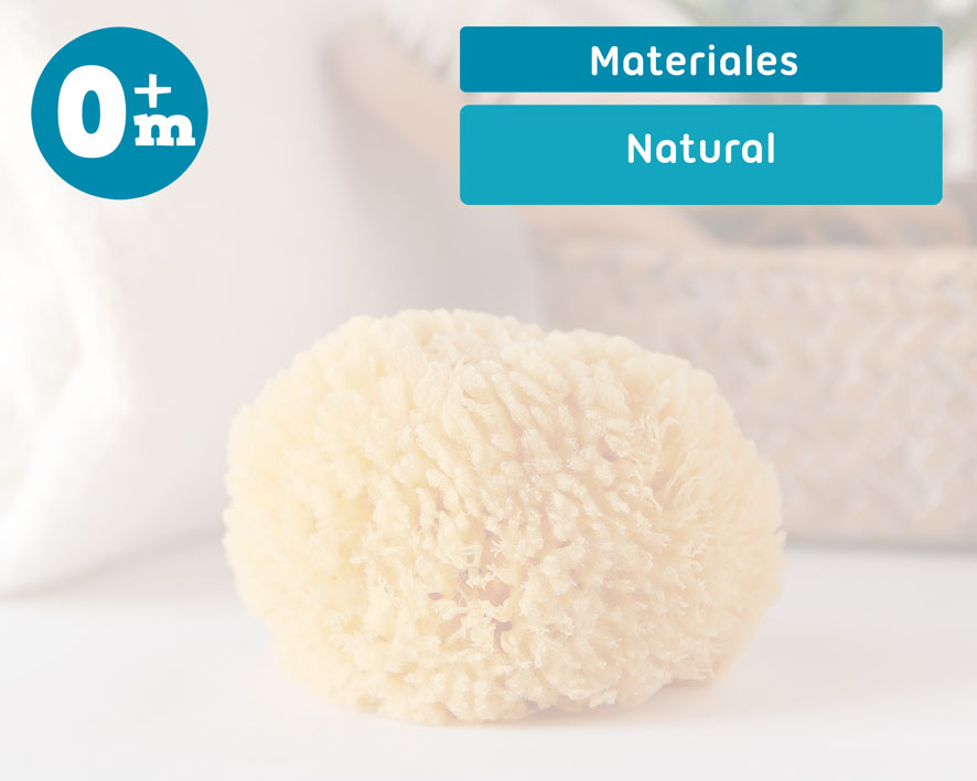 ESPONJA NATURAL 4353 KIOKIDS
