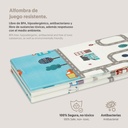 ALFOMBRA DE JUEGOS-GATEO COCHES INTERBABY