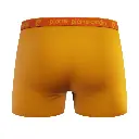 pack-4-boxer-hombre-algodon-bcx4-colors-surtido-pierre-cardin-8.webp