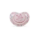 set-6-piezas-chupete-frontal-modelo-flores-petalos-rosa-interbaby-al-por-mayor.webp