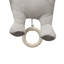 PELUCHE MUSICAL LEON INTERBABY