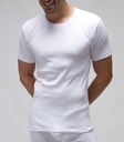 CAMISETA CABALLERO M/C CUELLO REDONDO 710 RAPIFE