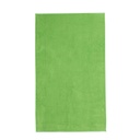TOALLA TERCIOPELO 100X160 LISO 13066 PISTACHO SECANETA