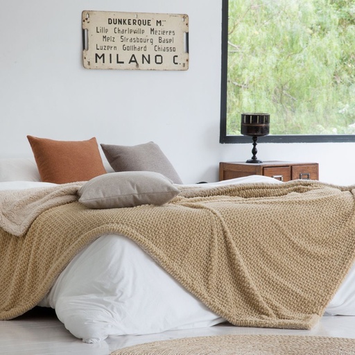 PLAID STORY ARENA ANTILO