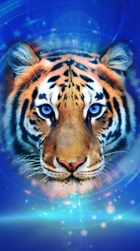 [05993TIGRE] TOALLA PLAYA MICROFIBRA 90X170 05993 TIGRE SUN &amp; SURF