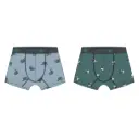 PACK 2 BOXER NIÑO REF 301 CHAMALEON WATERLEMON